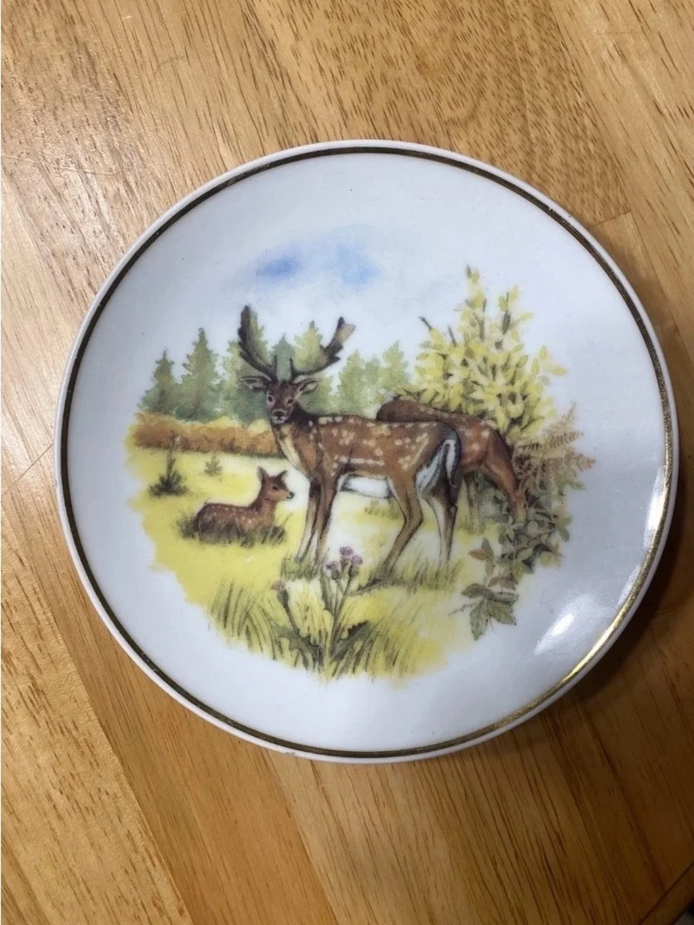Reader’s Digest Wildlife of Britain Plate Set (4) – Susan Beresford, 15 cm